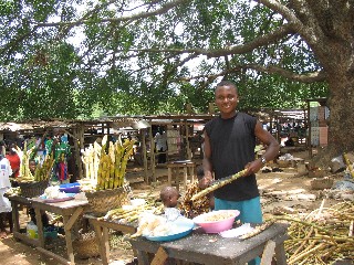 Sugar Cane Vendor